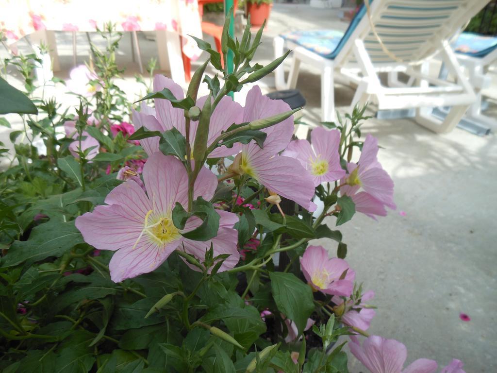 Pansion Giorgos & Rania Apartment Skiathos Room photo